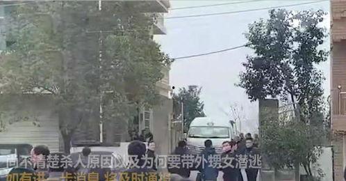 会昌义乌爆料事件最新,真相追踪与网络舆论风暴